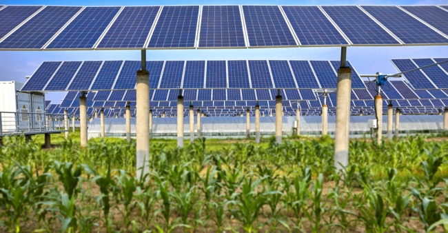 Green,Vegetable,Cultivation,And,Solar,Photovoltaic,Panels